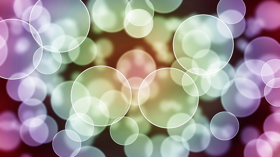 white and purple light bokeh HD wallpaper
